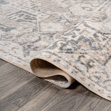Edith Distressed Medallion Low-Pile Machine-Washable Area Rug